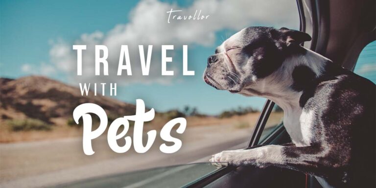 How to Travel with Pets: Paws and Passport - A Guide to Pet-Friendly Adventures